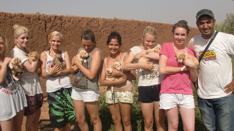 volunteers taking care of dog puppets 